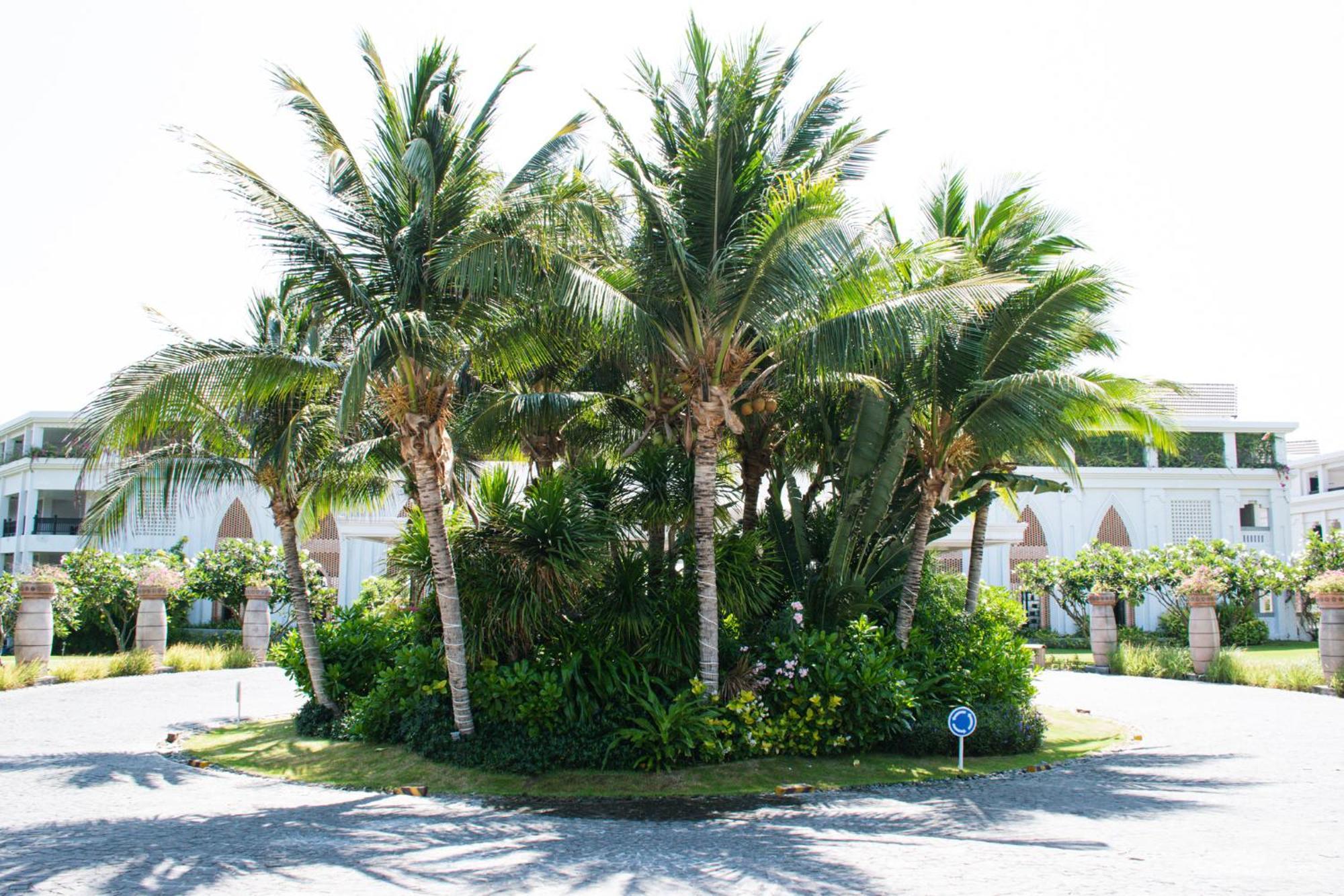 Muine Bay Resort Mũi Né Eksteriør billede
