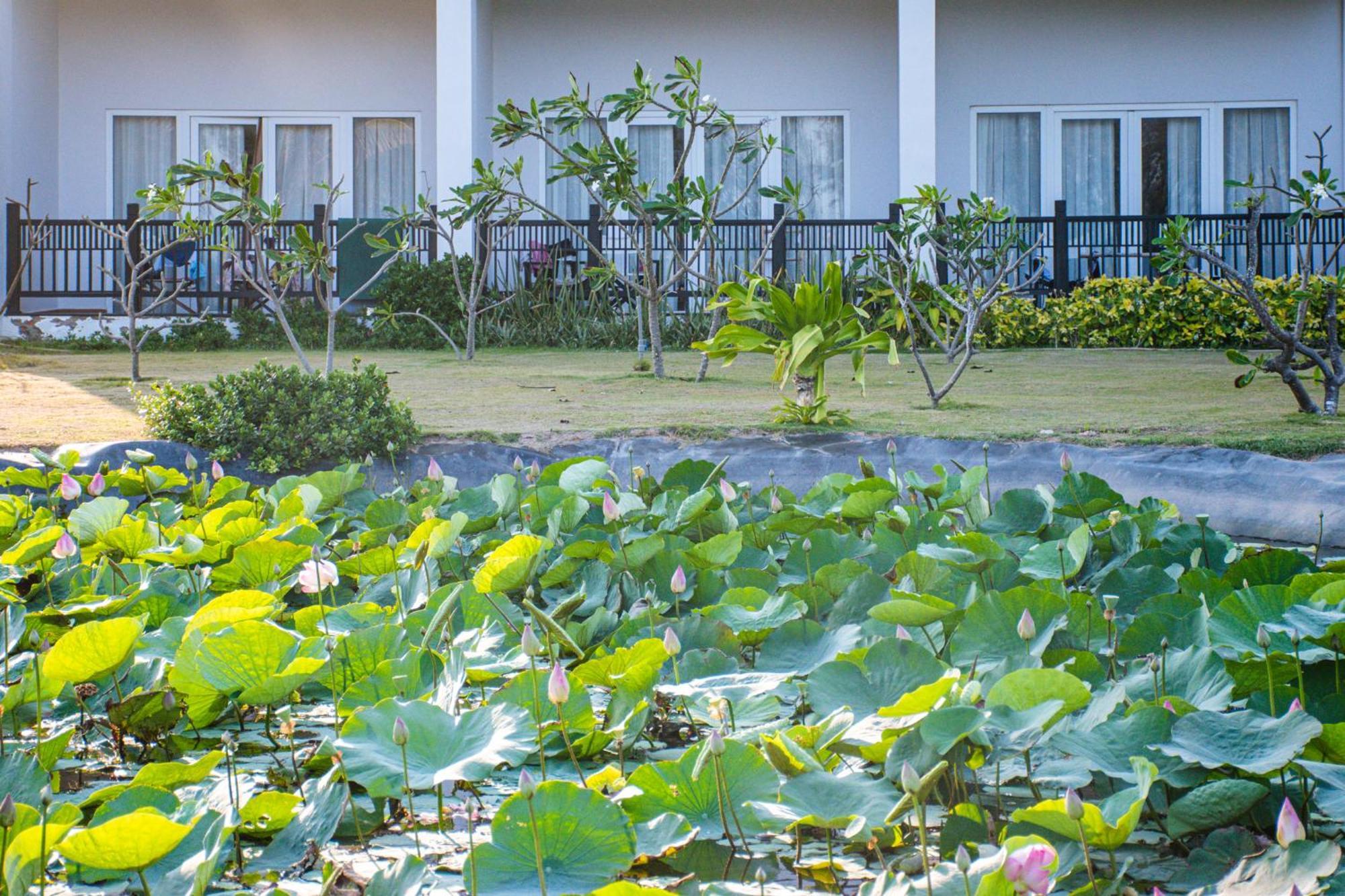Muine Bay Resort Mũi Né Eksteriør billede